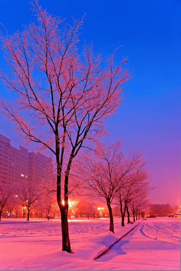 Prize winners – Jang Gyeongnam – Dawn at Sanggodae